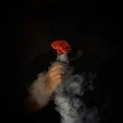 Дамы
